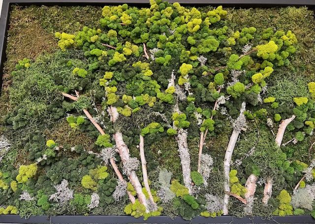 Moss Garden Picture Workshop