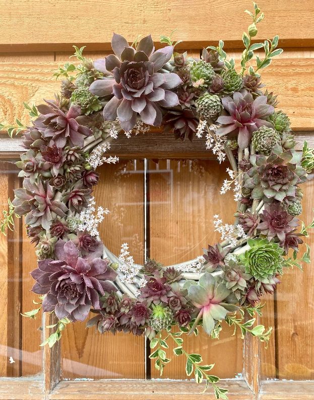 Succulent Wreath Workshop