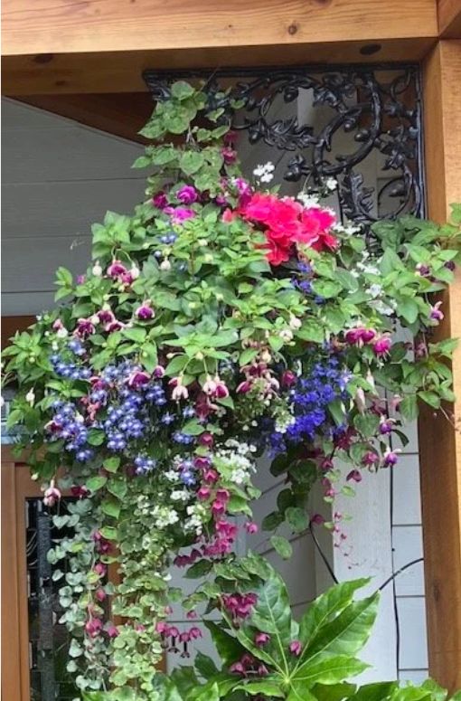 Moss Hanging Basket Workshop