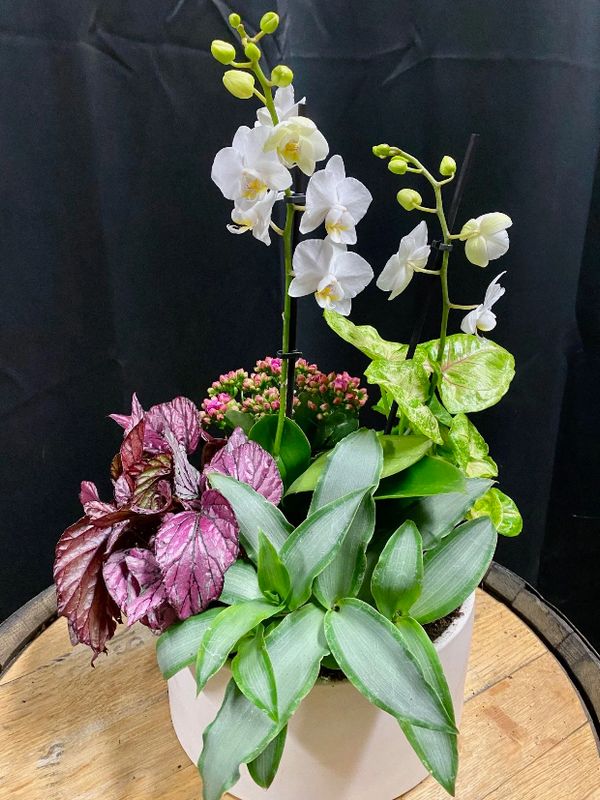 Easter Orchid Elegance Planter Workshop
