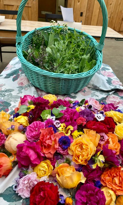 Edible Flower Gardening Workshop