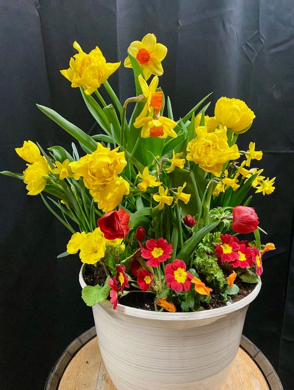 Blooming Bulb Planter Workshop