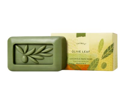 Olive Leaf