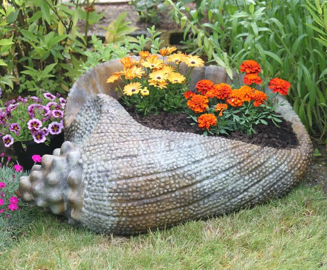 Concrete Conch Planter, Colour: Ancient Stone