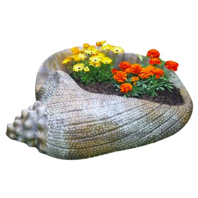 Concrete Conch Planter