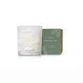 Frasier Fir - Tidings, Size: Votive 2oz/60g, Variety: Candle
