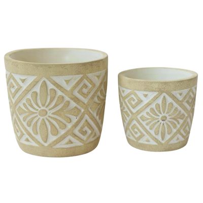 Cement Flower Pot