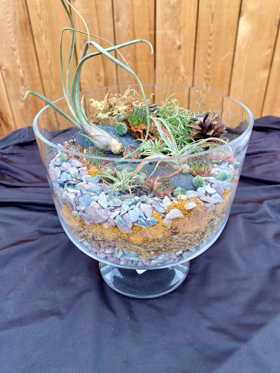 Air Plant Glass Terrarium Workshop