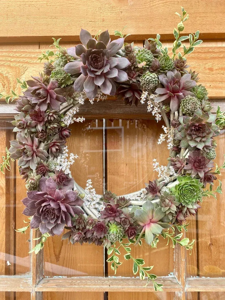 Succulent Wreath Making Workshop