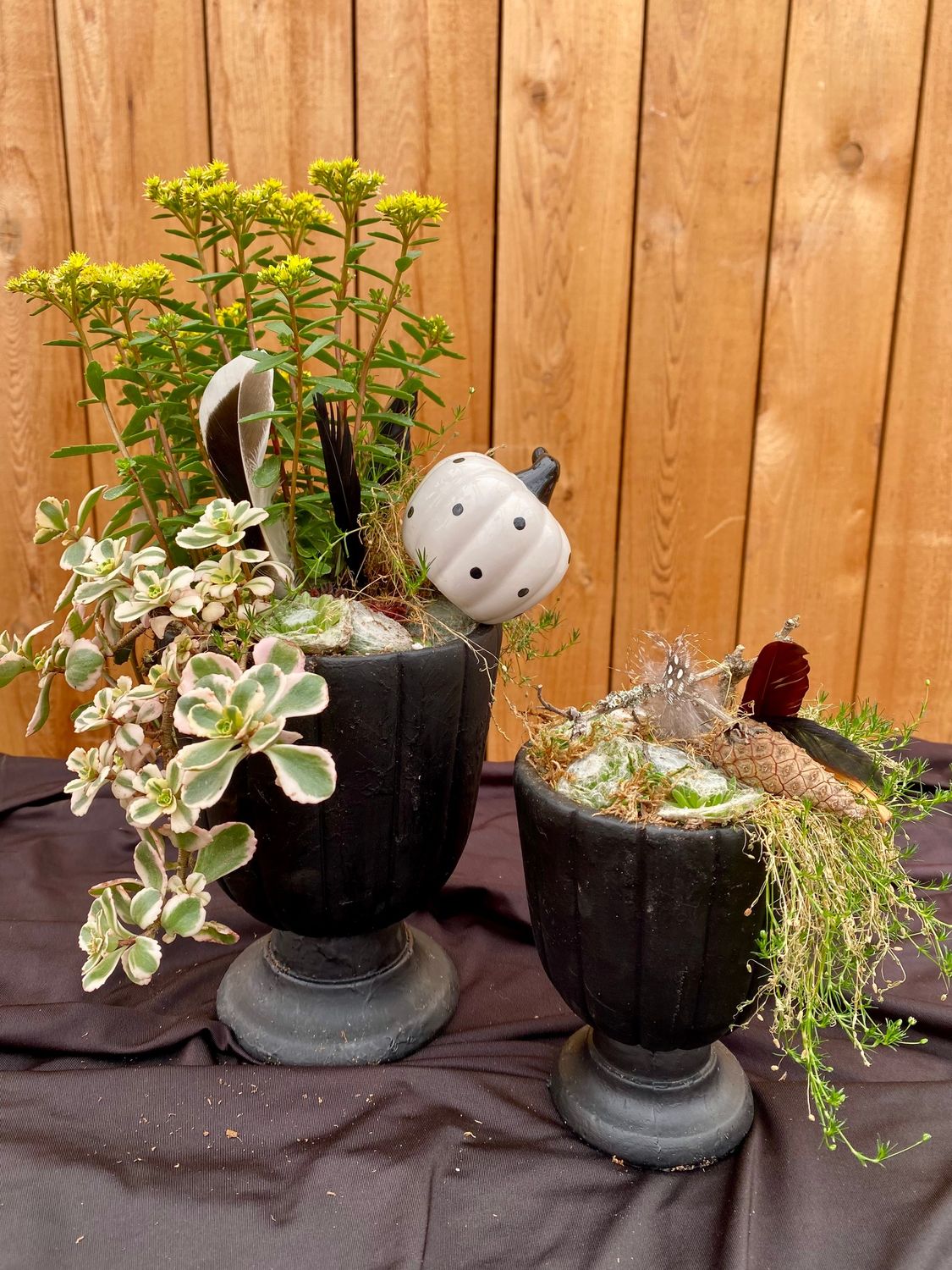 Spooky Succulent Urns Workshop