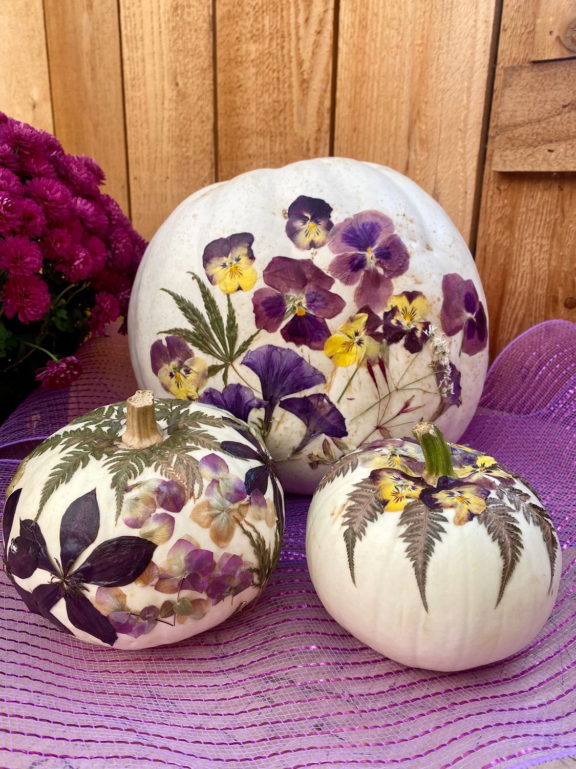 Botanic Pressed Flower Pumpkin Workshop