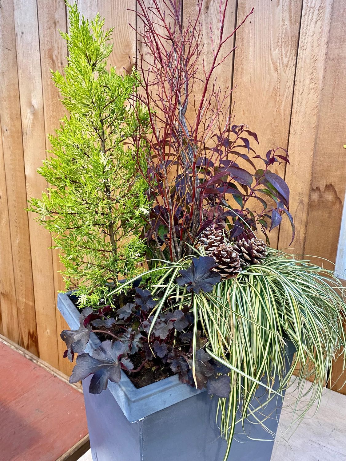 Natural Foliage Winter Planter Workshop