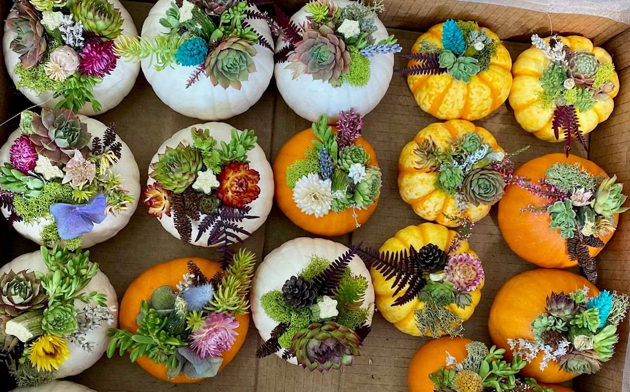 Pumpkin Decorating Workshop