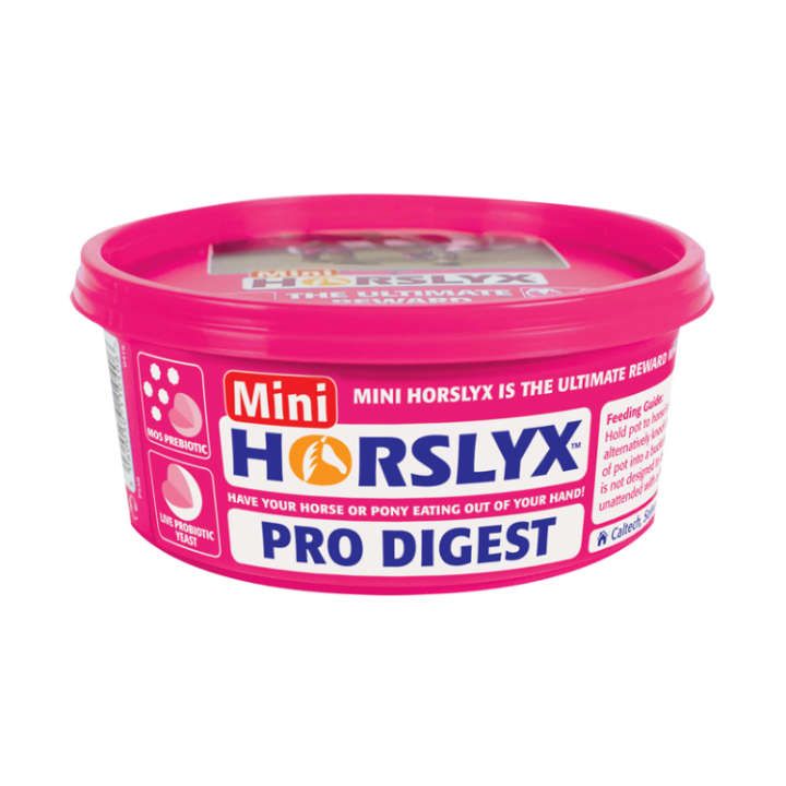 Derby Horslyx Pro Digest 650g