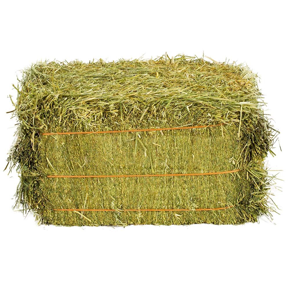 Alfalfa HD Square Bales 25kg