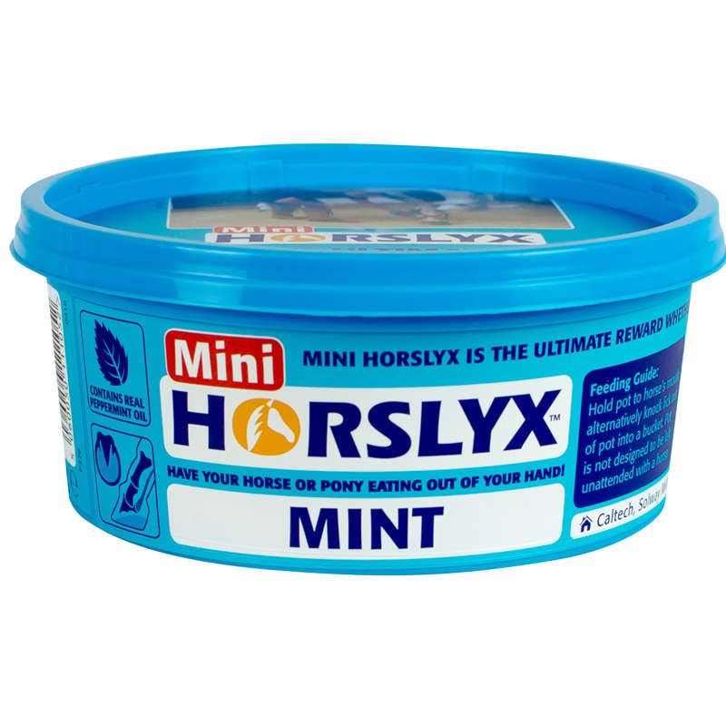 Derby Horslyx Mint 650g