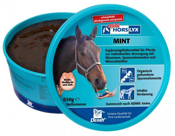 Derby Horslyx Mint 650g