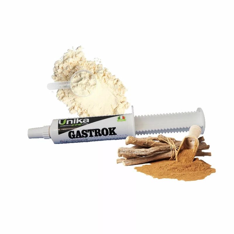 Unika paste Gastrok Single-dose 120 g