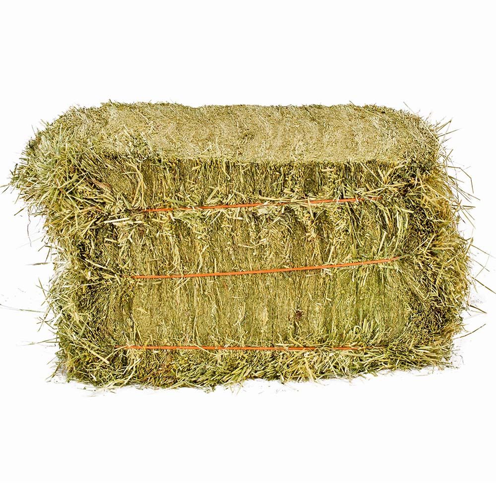 Ryestar Hay 25kg