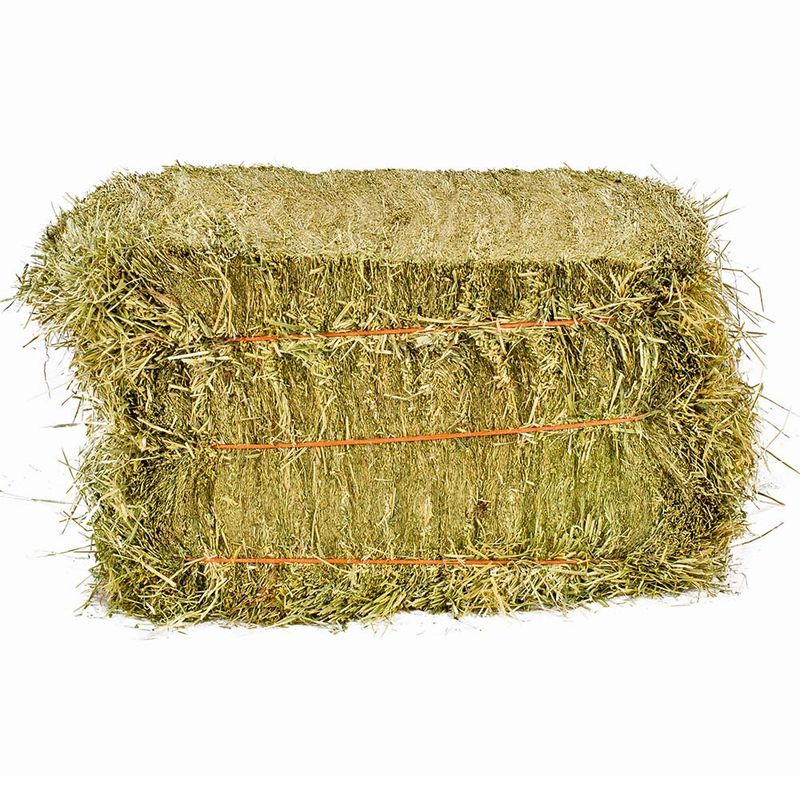 Ryestar Hay 25kg