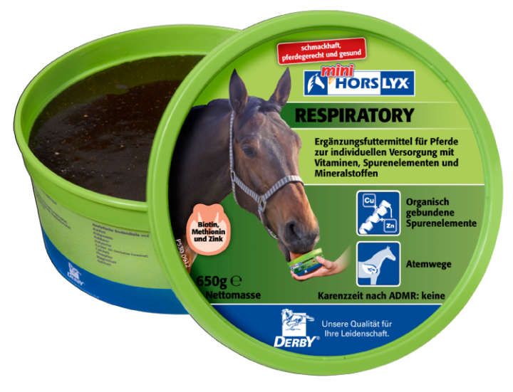 Derby Horslyx Respiratory 650g
