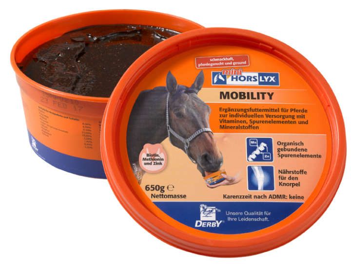 Derby Horslyx Mobility 650g