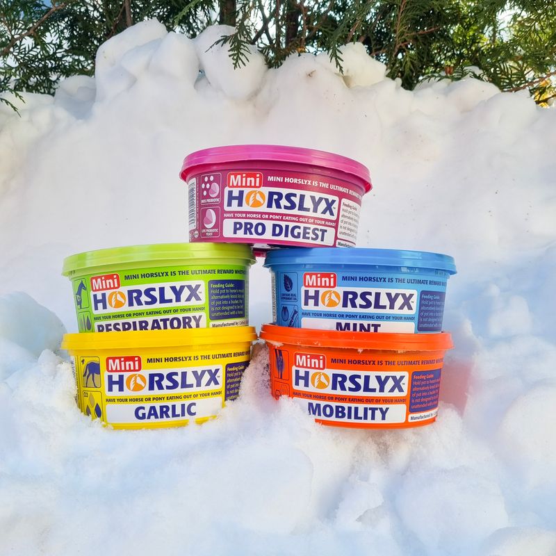 Derby Horslyx Garlic 650g