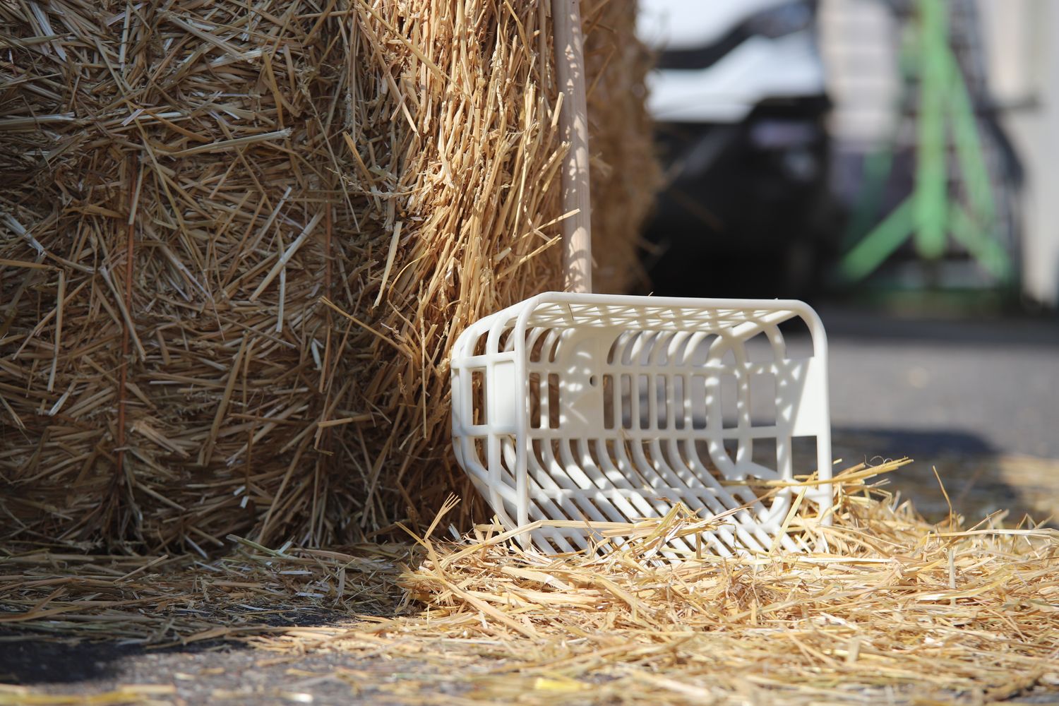 Basket-shaped fork without handle