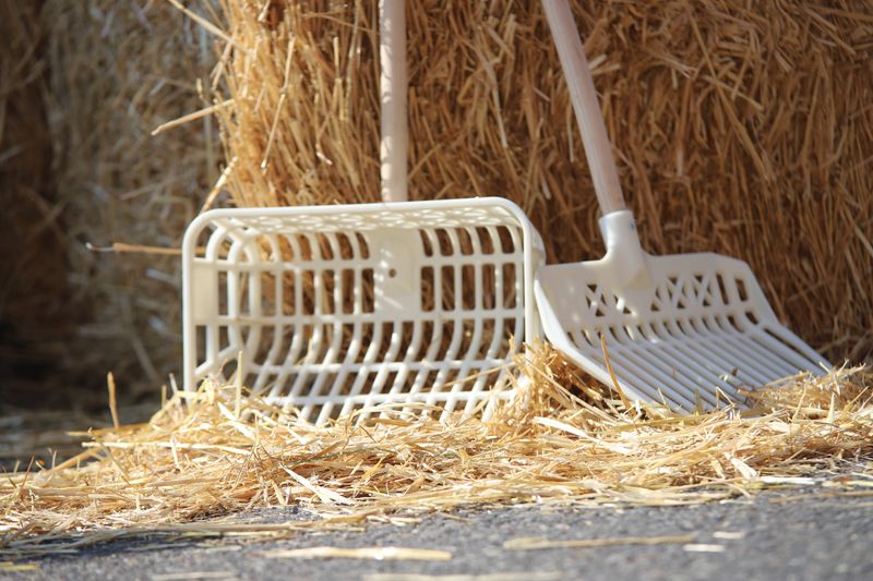 Basket-shaped fork