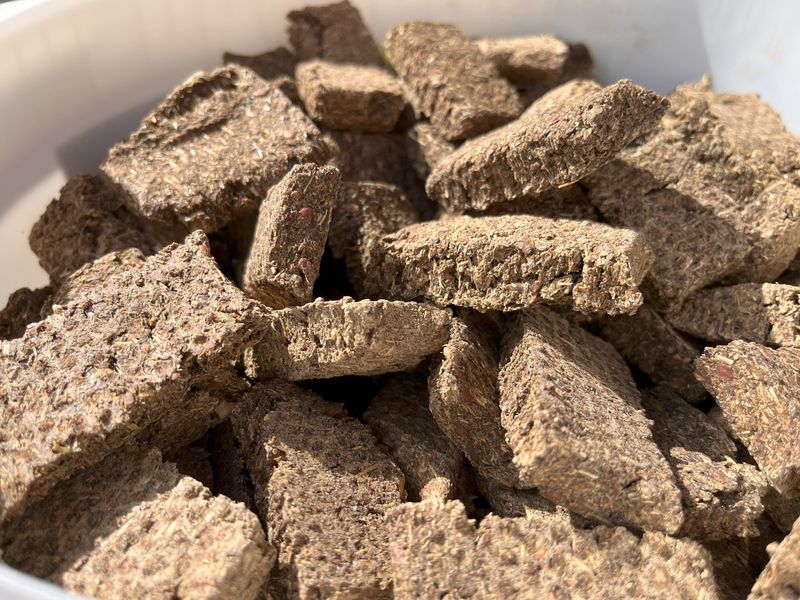 Immune Bites grain-free 3 kg