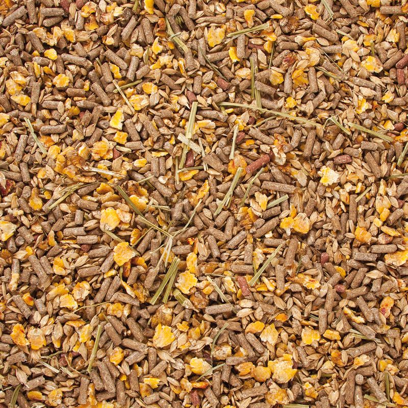 Getreide-Mix Gold - Grain Mix