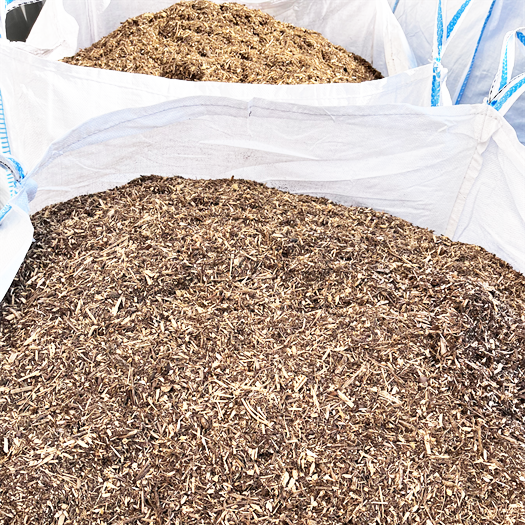 Forest Bed Big Bag