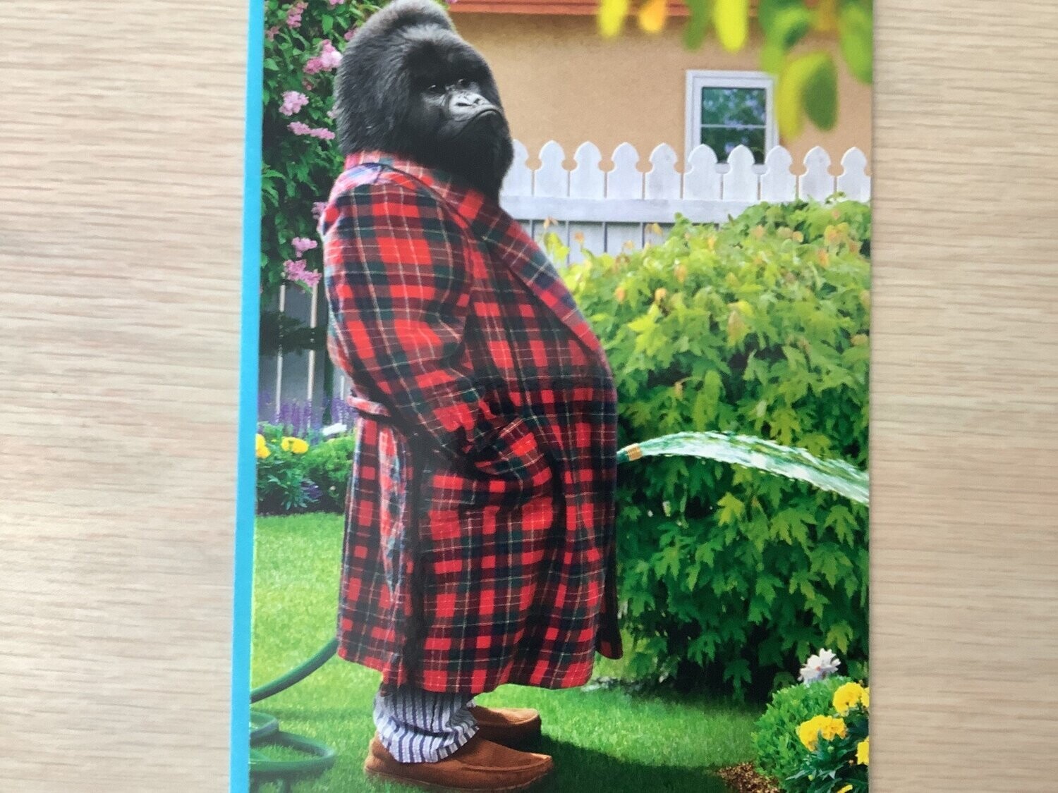 AVANTI GORILLA HOSE CARD FATHERS DAY