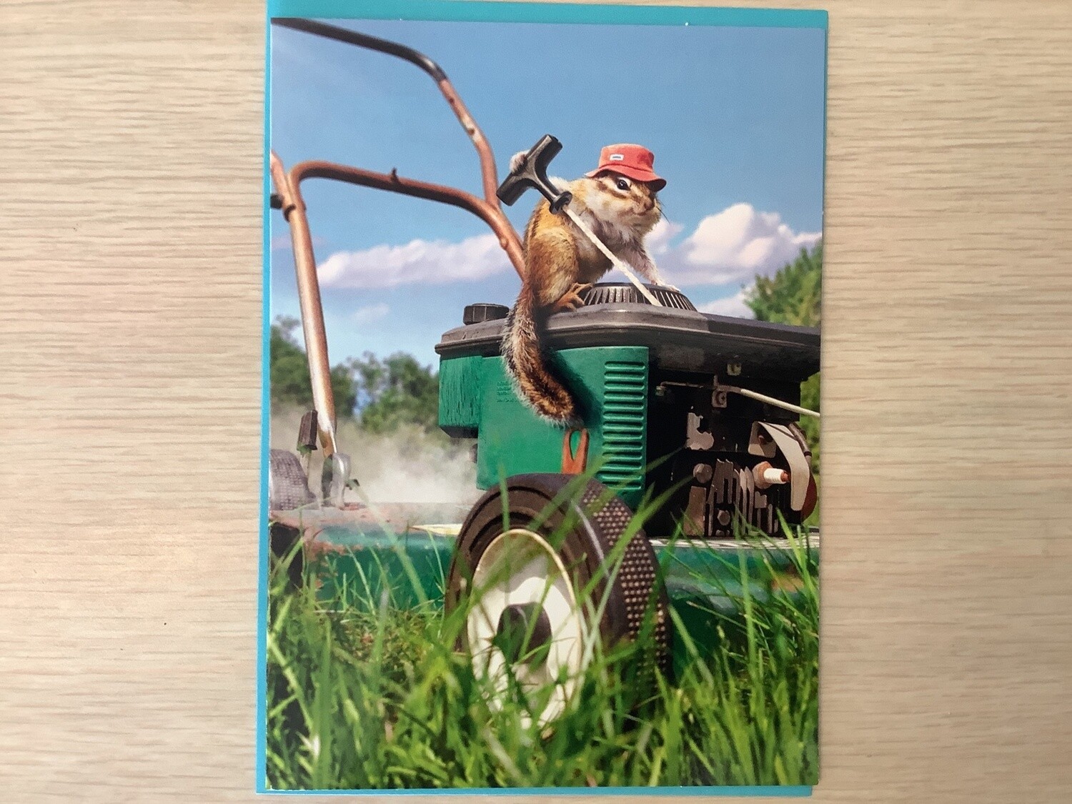 AVANTI CHIPMUNK LAWN MOWER CARD FATHERS DAY (IN-STORE ONLY)