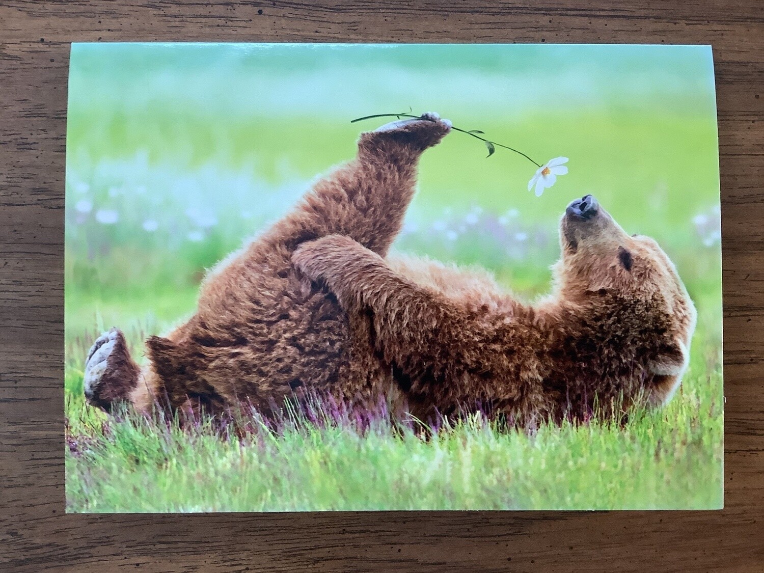 AVANTI Bear flower card birthday