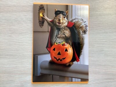 AVANTI SQUIRREL TRICK OR TREATING HALLOWEEN CARD
