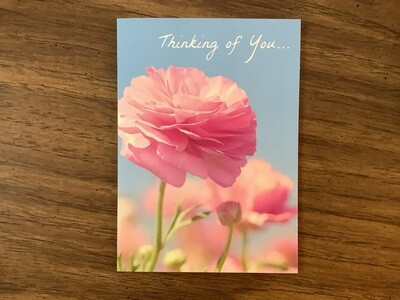 AVANTI THINKING OF YOU CARD - BLANK INSIDE