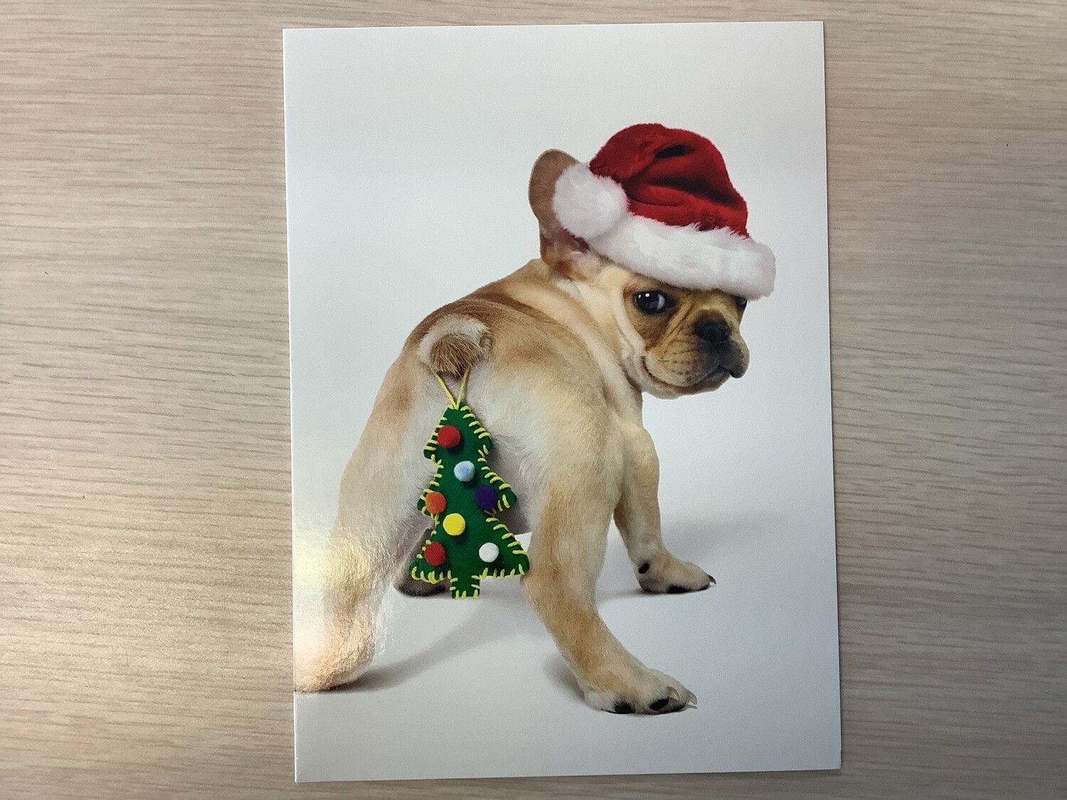 AVANTI PUPPY ORNAMENT CHRISTMAS CARD