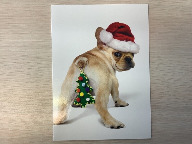 AVANTI PUPPY ORNAMENT CHRISTMAS CARD