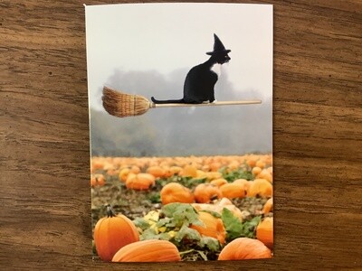 AVANTI CAT RIDING BROOM HALLOWEEN CARD