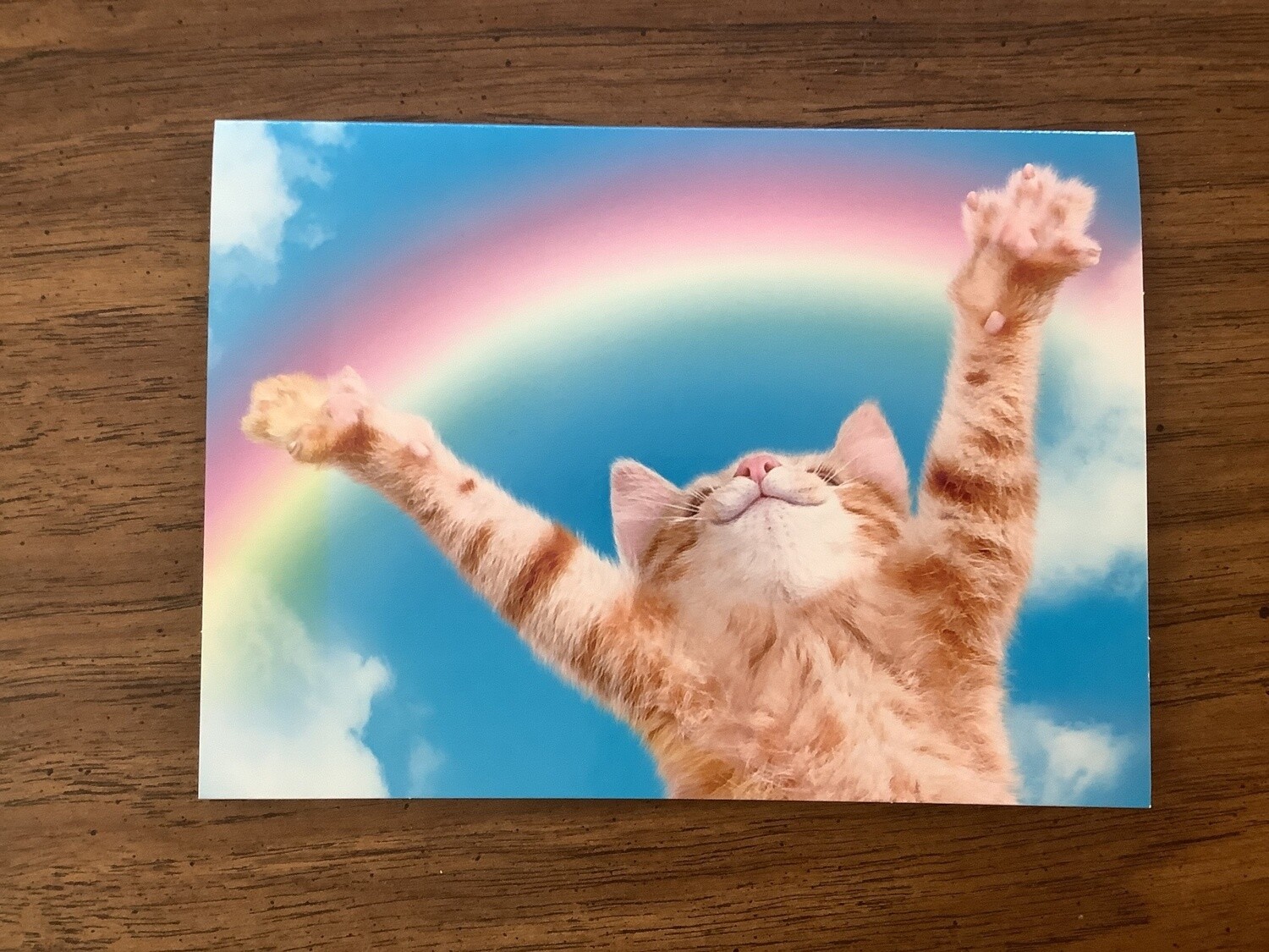 AVANTI CAT ARMS UP RAINBOW CONGRATULATIONS