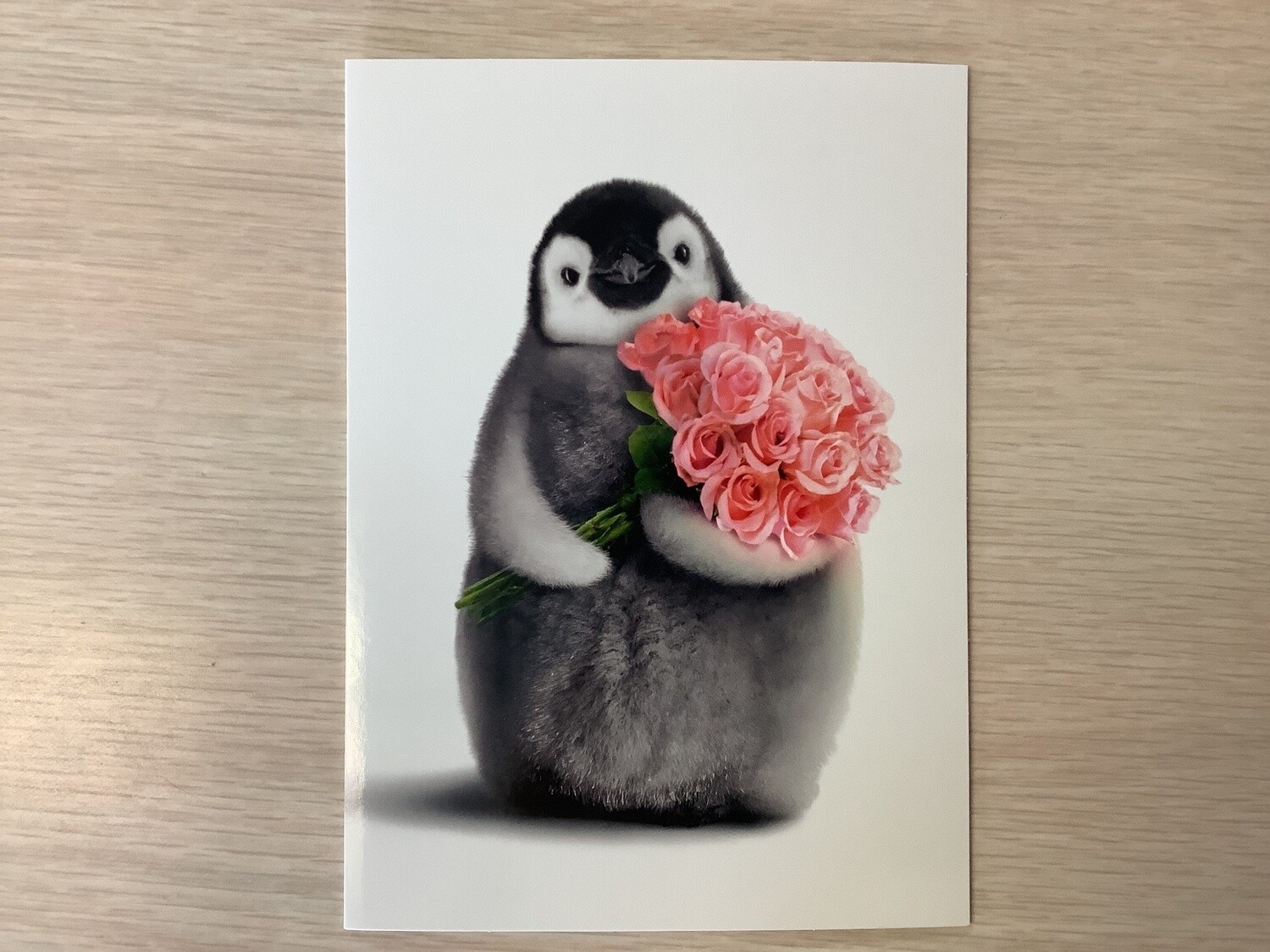 AVANTI HOLIDAY PENGUIN VALENTINES DAY CARD