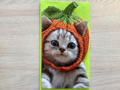 AVANTI CAT PUMPKIN HAT HALLOWEEN BIG CARD