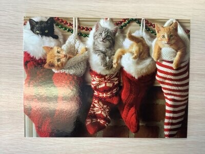 AVANTI KITTENS IN STOCKINGS CHRISTMAS CARD