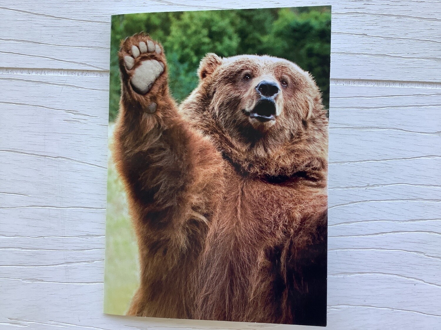 AVANTI BEAR FRIENDSHIP CARD