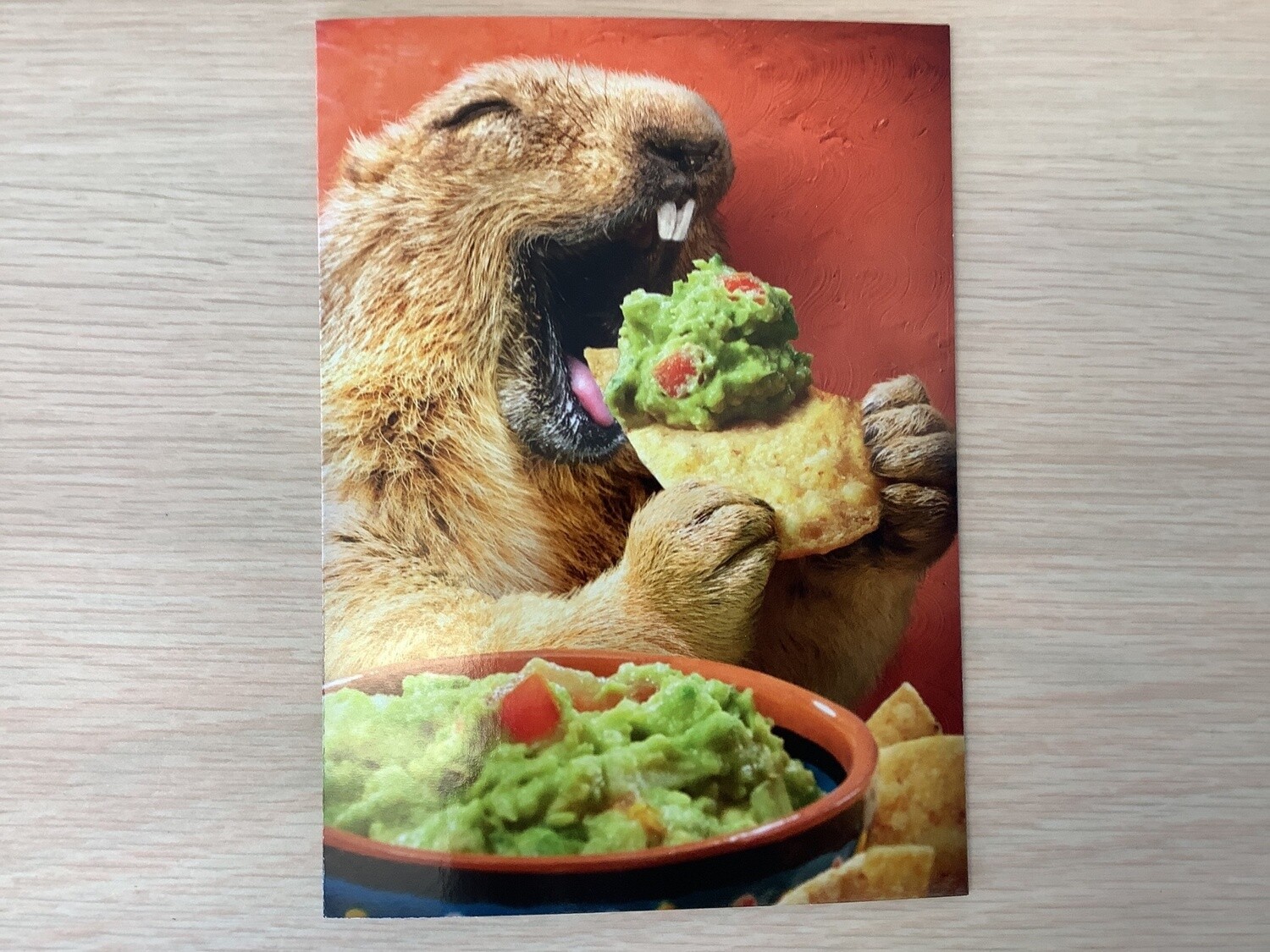 AVANTI Squirrel GUACAMOLE BIRTHDAY CARD