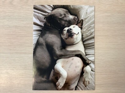 AVANTI HOLIDAY CUDDLE DOGS VALENTINES DAY CARD