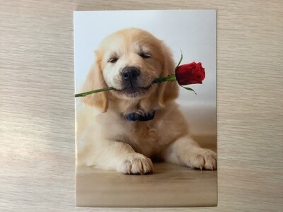 AVANTI HOLIDAY GOLDEN PUPPY ROSE VALENTINES DAY CARD