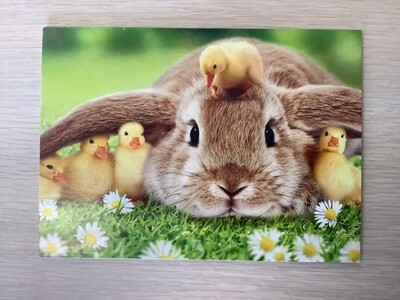 AVANTI BUNNY DUCKS EASTER CARD