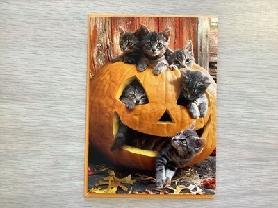 AVANTI KITTENS IN JACK O LANTERN HALLOWEEN CARD